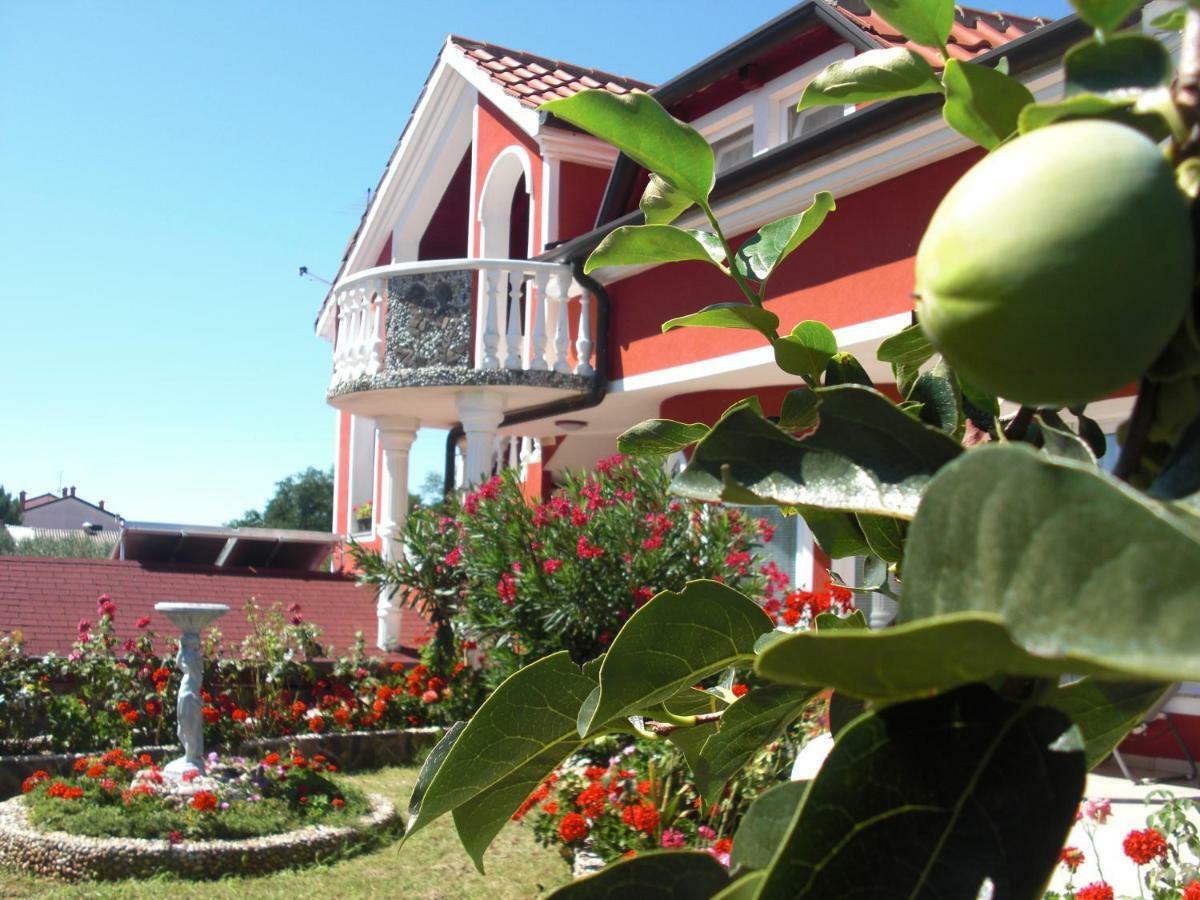 Apartma Jelka Novigrad  Екстер'єр фото