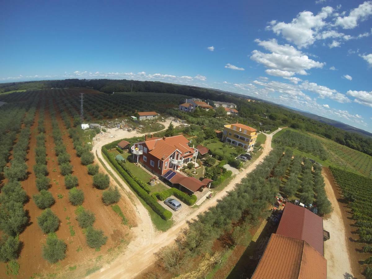 Apartma Jelka Novigrad  Екстер'єр фото